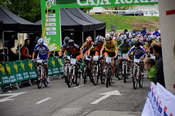 estella2012